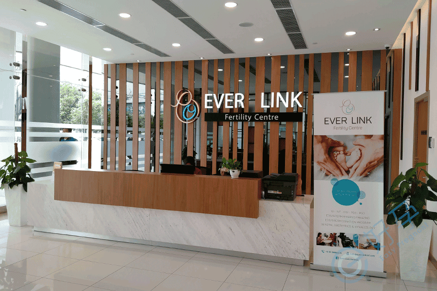 马来西亚 爱维国际生育中心